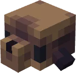 Brain rot Otarie Claquette